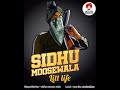 Litt life || Sidhu moose wala || byg bird