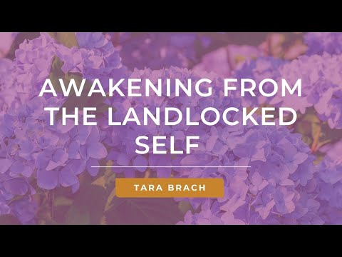 Tara Brach: A Pioneer in Mindfulness and Meditation