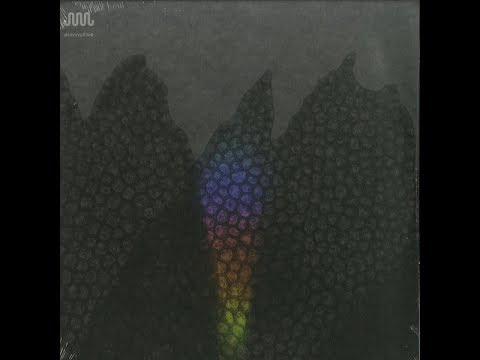 Andrea Ferlin - Summia