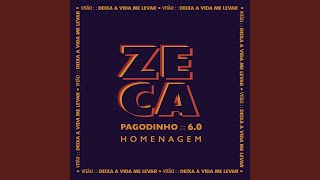 Deixa A Vida Me Levar Lyrics English Translation