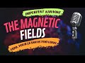 The Magnetic Fields karaoke - Fido, Your Leash Is Too Long