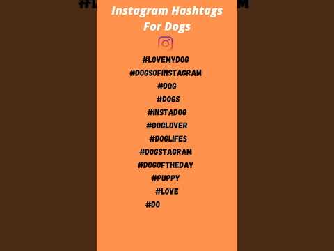 Instagram Hashtags For Dogs