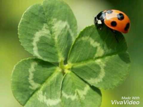 Irem Derici  Dualar eder insan...