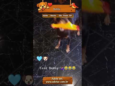 Vídeo de Bobby
