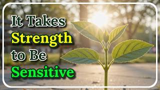 THIS Is Why Sensitive People Are the STRONGEST People There Are