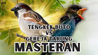 Download lagu MASTERAN TENGKEK BUTO VS GEREJA TARUNG AMPUH 100% GACOR MUDAH MASUK mp3