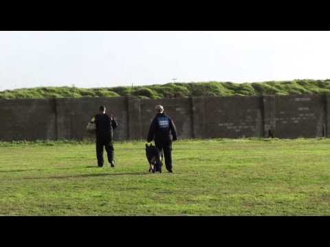 Lisa Wardle and Asco - SA Nationals IPO 3 - 15 June 2014