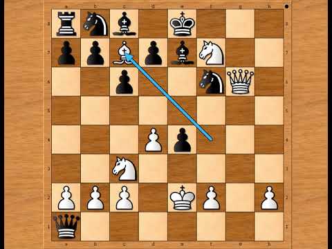 Obostrana ofanziva , opšti napad bez milosti ‼️ GEDULT vs FLEISCH # 2242