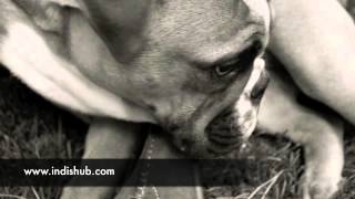 Dream On - Christian Falk