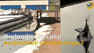 Թունավոր նյութերի «կոկտեյլներ»՝ վտանգավոր թափոնների գերեզմանոցում