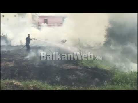 Pakujdesia/ Zjarri në shkurre për pak sa nuk djeg banesat në Fier