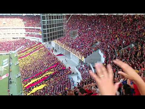 O maior grito de guerra do mundo / Sport x santa cruz, semifinal pernambucano 2024