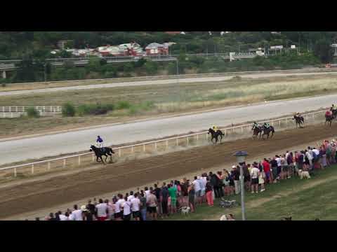 04.07.2021. - 99. SRPSKI GALOPSKI DERBI - Hipodrom Beograd