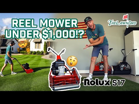 A reel mower UNDER $1,000?? Rolux s17 reel mower