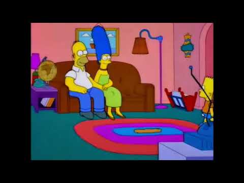 ¿Y por eso tapas el televisor? - Los Simpsons