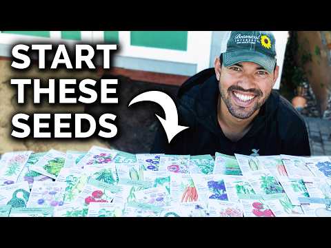 How to Transplant Seedlings My High Density Method