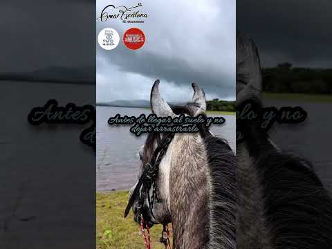 Omar Escalona - tres reglamentos del llano Damaso Figueredo