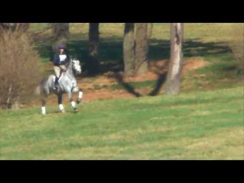 DeAnna Burke "Davinci" Plantation Field Horse Trials XC/P 4/12/2015