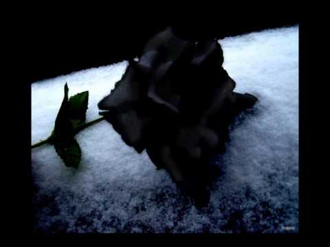 Luca turilli- Black rose