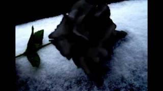 Luca turilli- Black rose