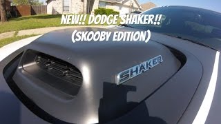 Skoobys   Dodge 