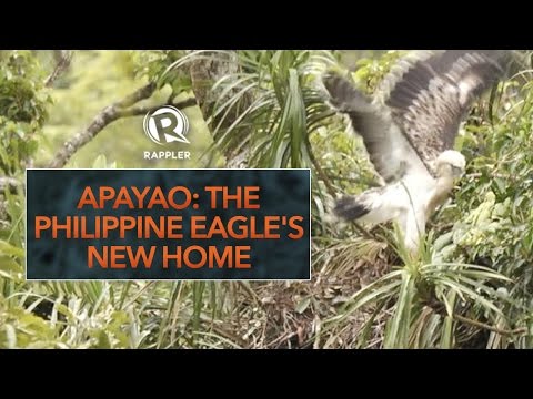 Apayao: The Philippine Eagle's new home