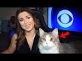 Best Cats Work From Home News Bloopers DEFAULT Thumbnail