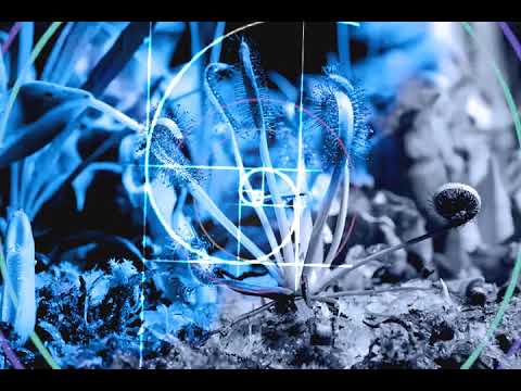Biogenesis - Significant [Promo]