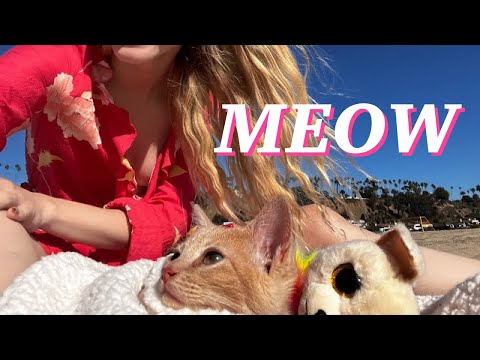 AT THE BEACH W MY KITTEN / Los angeles vlogs #newcatmom