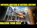 National Museum of Natural History - Walking Tour - Full Walkthrough 2024 - 4k