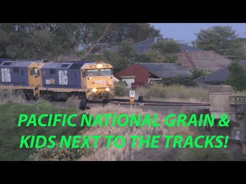 Kids Playing Near Train Tracks as a Pacific National Grain Train passes by!