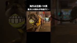 愛犬をひとりで留守番させようとした結果…
