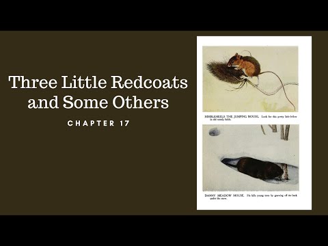 Listen and Look Burgess Animal Book Chapter 17: Three Little Redcoats and Some Others