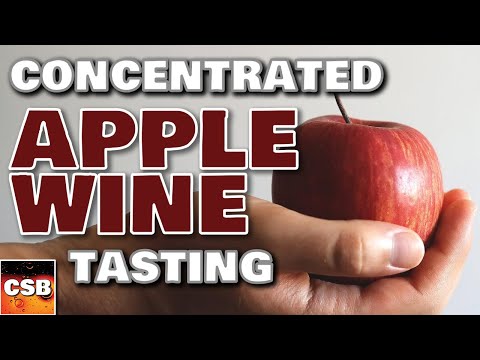 Concentrated Apple Wine ONE YEAR TASTING!