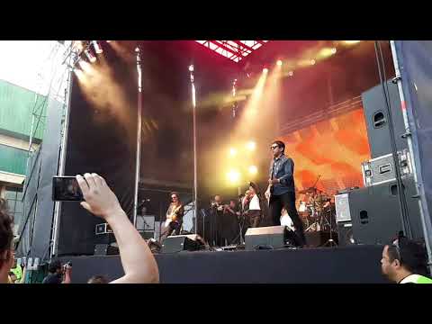 download lagu mp3 mp4 Loco Del Turf, download lagu Loco Del Turf gratis, unduh video klip Loco Del Turf