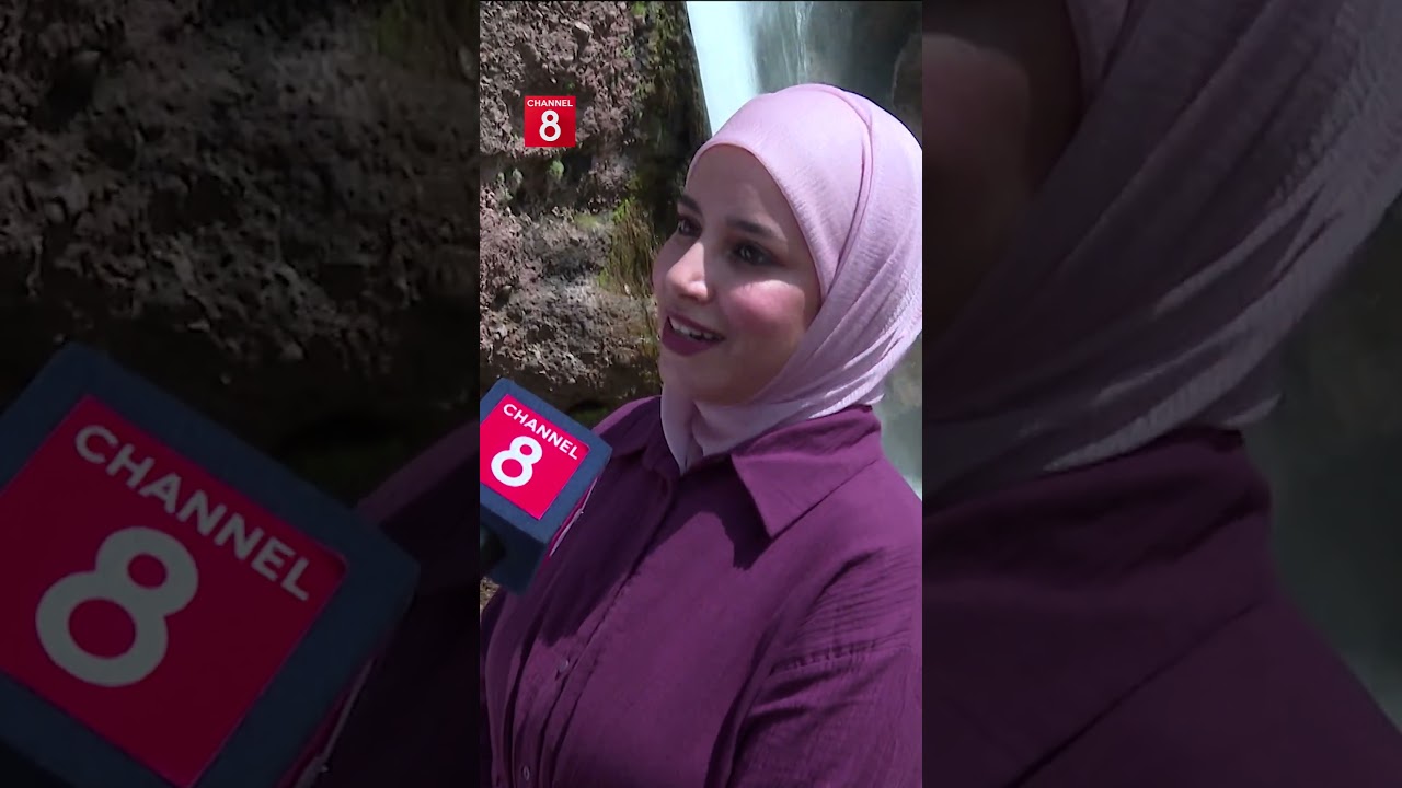ڤیدیۆ | داری کۆمەڵە