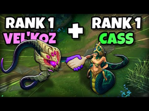 We found the best BOT COMBO... ft. Pun1sher