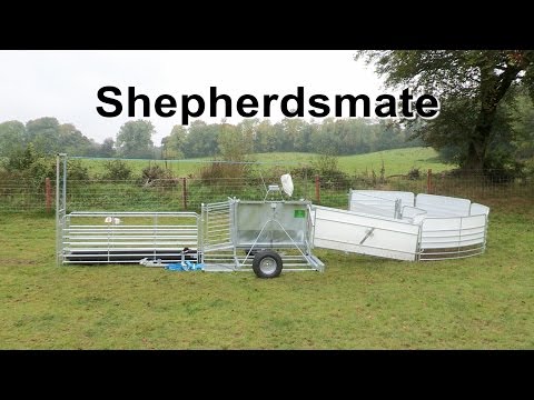 Mobile Sheep Handling Race/equipment/Weighing - Image 2