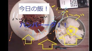 料理動画ハンバーグ！作れたかな？不安