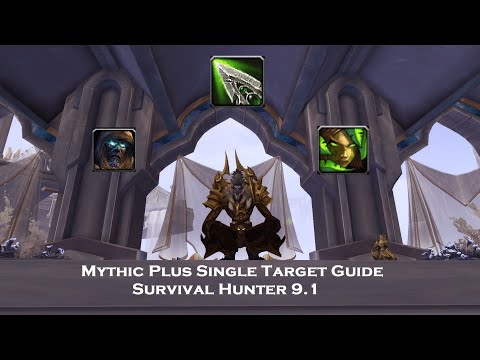 Survival Hunter - Single Target Guide for M+ - Kyrian (9.1 / 9.1.5)