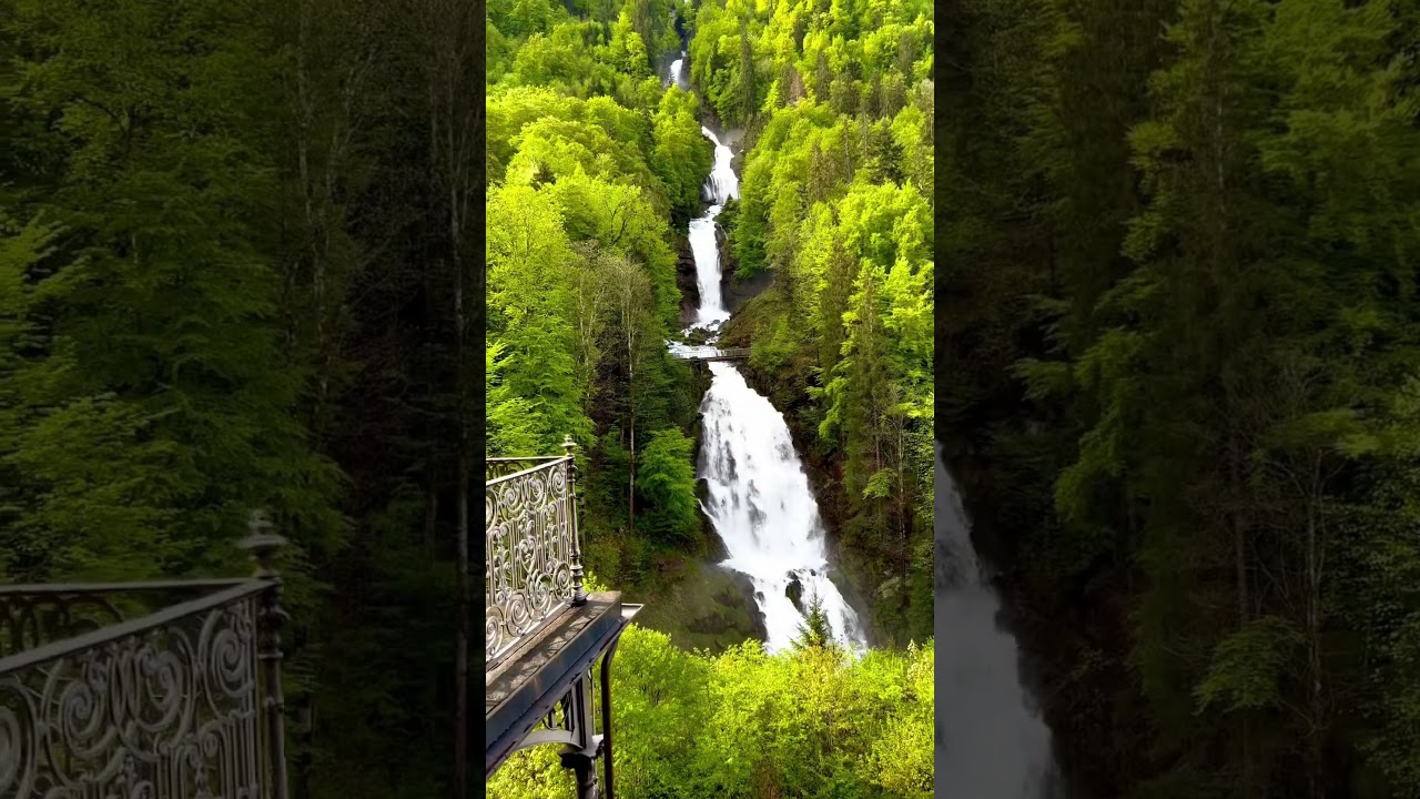 YouTube Short thumbnail