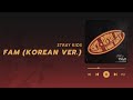 Stray Kids 스트레이 키즈 FAM Korean Ver