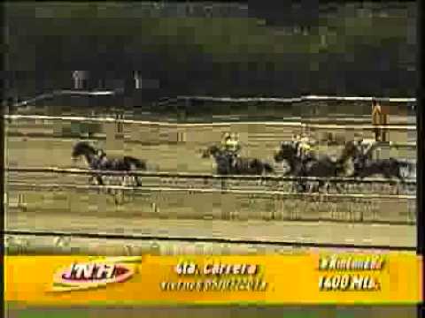 4TA CARRERA VIERNES 5 JULIO LA RINCONADA AUDIOHIPISMO