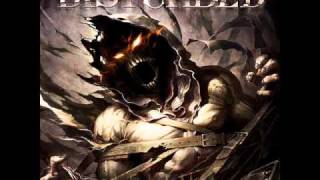 The Animal Disturbed