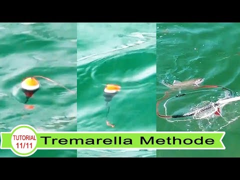 #11 Trout Fishing: The Tremarella Technique