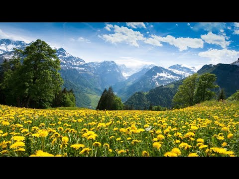 DARVO & Claire Willis  — Lift Me Up (Extended Mix)