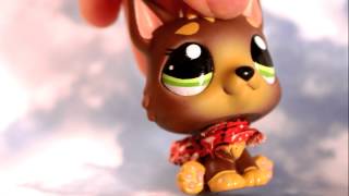 LPS: &quot;Don&#39;t Let Me Fall&quot; By: B.o.B