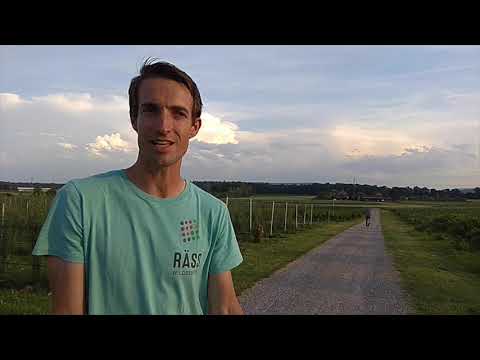 Der Bio-Betrieb Räss aus Benken ZH hat seit fünf Jahren auf Beeren umgestellt