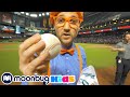 Blippi Visits A Baseball Stadium Blippi Moonbug Literacy