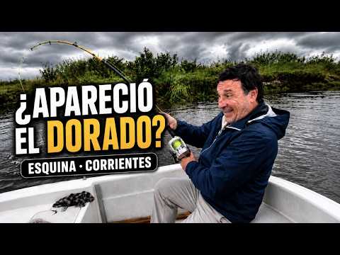 Fuimos a Esquina a buscar el dorado… y Corrientes nos sorprendió